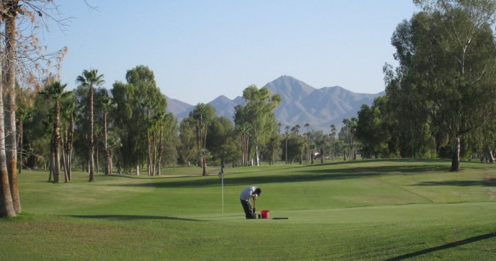 golf course area with the shortest grass
